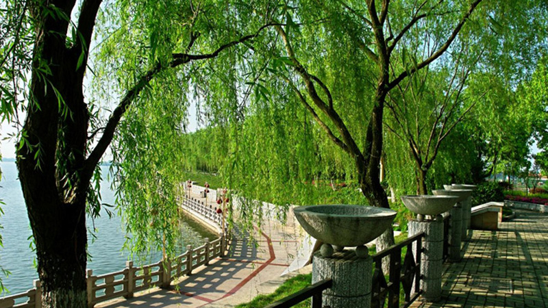 Changde Liuye Lake Tourist Resort Area
