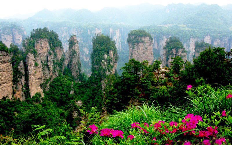 3-Day Zhangjiajie National Forest Park Leisure Tour